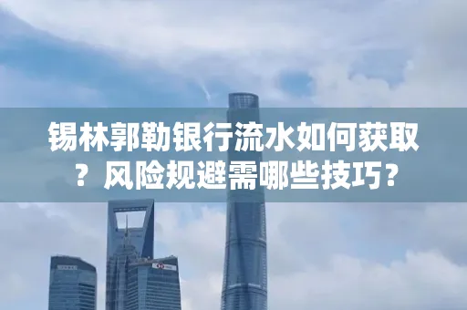锡林郭勒银行流水如何获取?风险规避需哪些技巧?