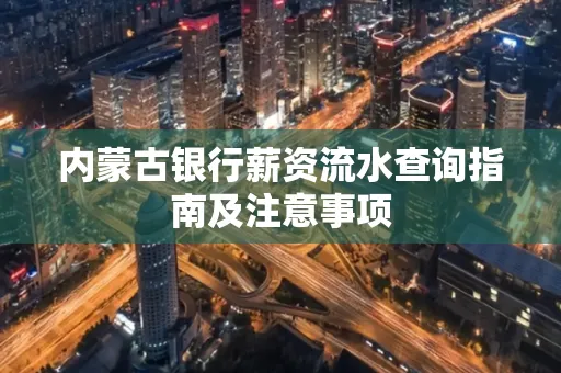 内蒙古银行薪资流水查询指南及注意事项