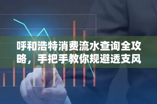 呼和浩特消费流水查询全攻略,手把手教你规避透支风险