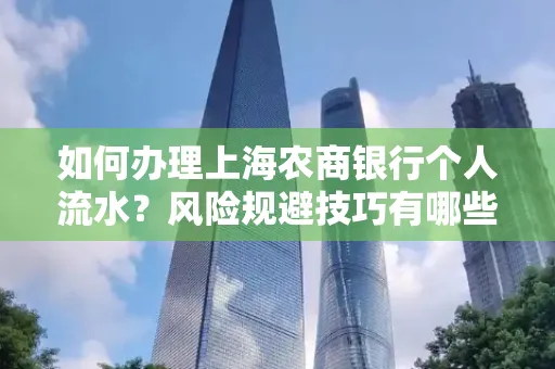 如何办理上海农商银行个人流水？风险规避技巧有哪些？