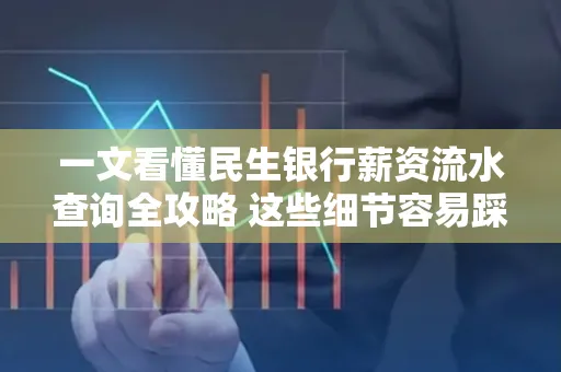 一文看懂民生银行薪资流水查询全攻略 这些细节容易踩雷