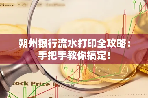 朔州银行流水打印全攻略:手把手教你搞定!