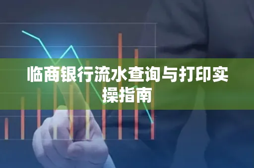 临商银行流水查询与打印实操指南