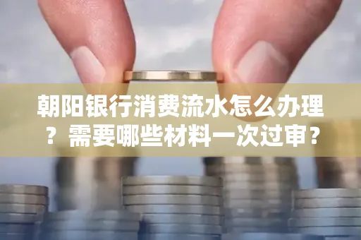 朝阳银行消费流水怎么办理?需要哪些材料一次过审?
