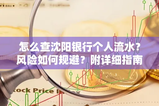 怎么查沈阳银行个人流水?风险如何规避?附详细指南