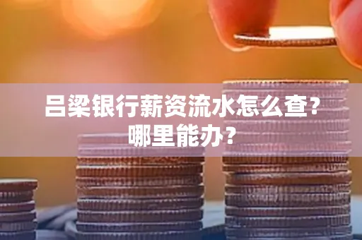吕梁银行薪资流水怎么查?哪里能办?