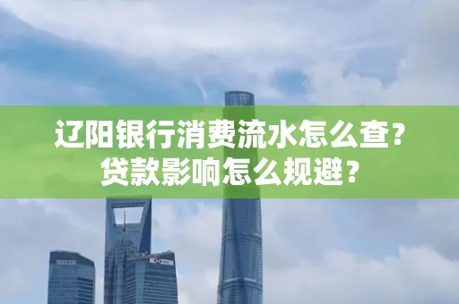 辽阳银行消费流水怎么查?贷款影响怎么规避?