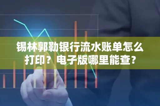 锡林郭勒银行流水账单怎么打印?电子版哪里能查?