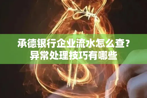 承德银行企业流水怎么查?异常处理技巧有哪些