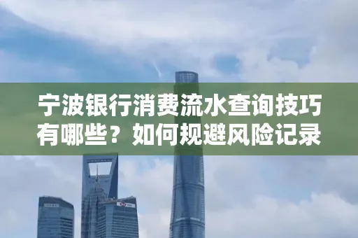 宁波银行消费流水查询技巧有哪些?如何规避风险记录?