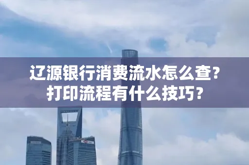 辽源银行消费流水怎么查?打印流程有什么技巧?