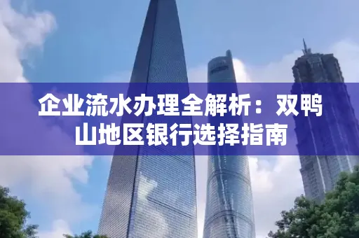 企业流水办理全解析:双鸭山地区银行选择指南
