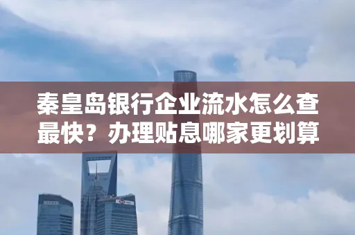秦皇岛银行企业流水怎么查最快?办理贴息哪家更划算?