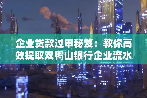 企业贷款过审秘笈:教你高效提取双鸭山银行企业流水