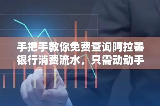 手把手教你免费查询阿拉善银行消费流水,只需动动手指就能完成