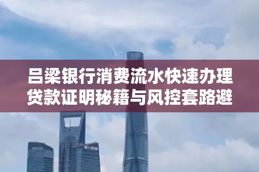 吕梁银行消费流水快速办理贷款证明秘籍与风控套路避坑指南