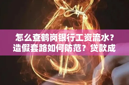 怎么查鹤岗银行工资流水?造假套路如何防范?贷款成功率翻倍攻略