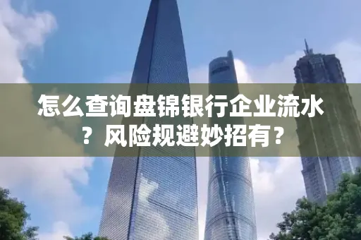 怎么查询盘锦银行企业流水？风险规避妙招有？