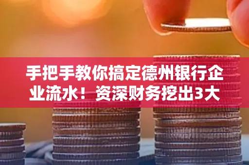 手把手教你搞定德州银行企业流水！资深财务挖出3大隐藏风险点