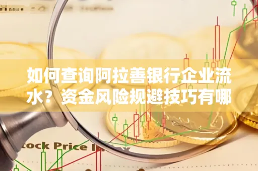 如何查询阿拉善银行企业流水?资金风险规避技巧有哪些?