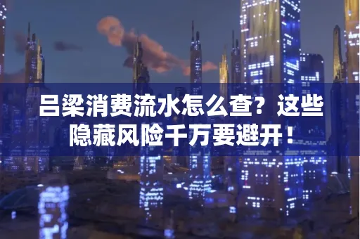 吕梁消费流水怎么查?这些隐藏风险千万要避开!