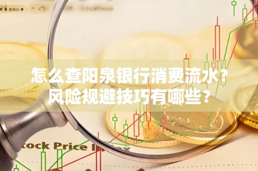 怎么查阳泉银行消费流水?风险规避技巧有哪些?