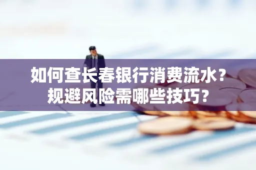 如何查长春银行消费流水?规避风险需哪些技巧?