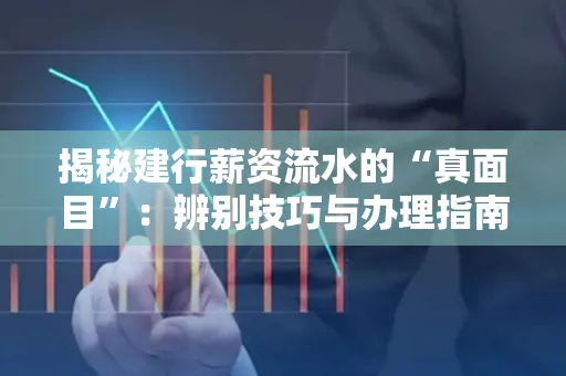 揭秘建行薪资流水的“真面目”:辨别技巧与办理指南大公开