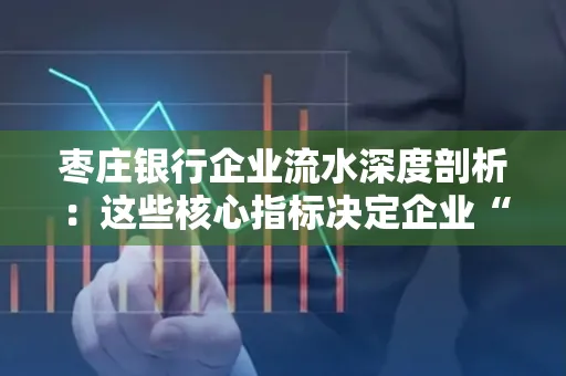 枣庄银行企业流水深度剖析:这些核心指标决定企业“钱袋子”健康度