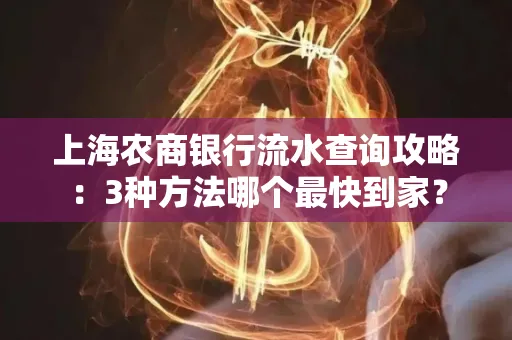 上海农商银行流水查询攻略:3种方法哪个最快到家?