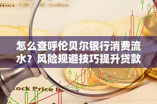 怎么查呼伦贝尔银行消费流水?风险规避技巧提升贷款率?
